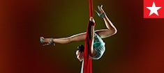 235x105_cirque_promo.jpg