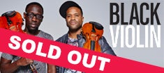 BlackViolin_soldout-235.jpg