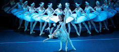 Swan Lake 235.png