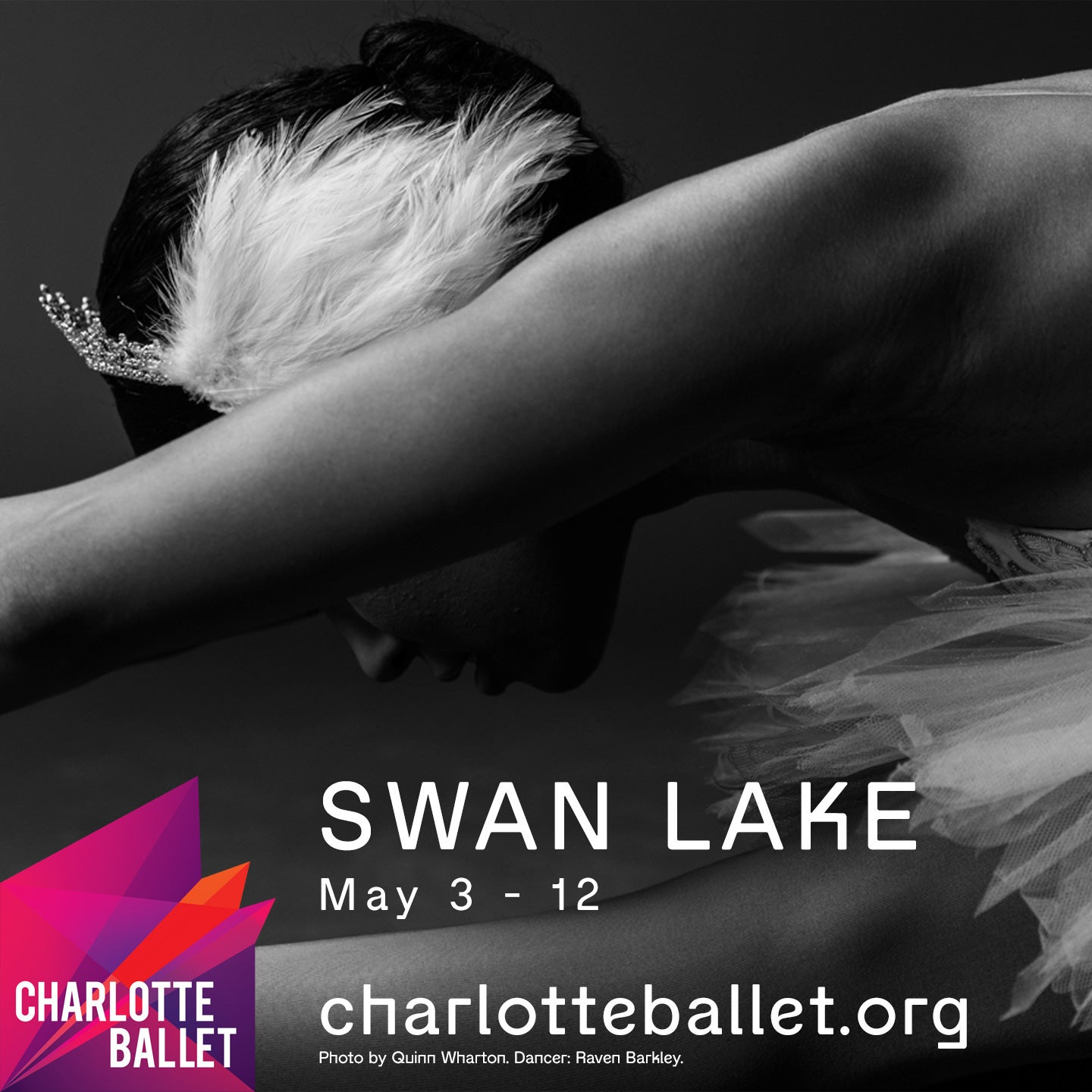 Charlotte Ballet Swan Lake