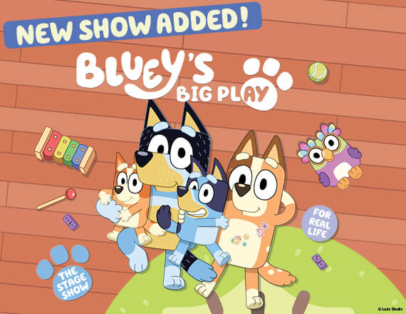 More Info for Bluey's Big Play