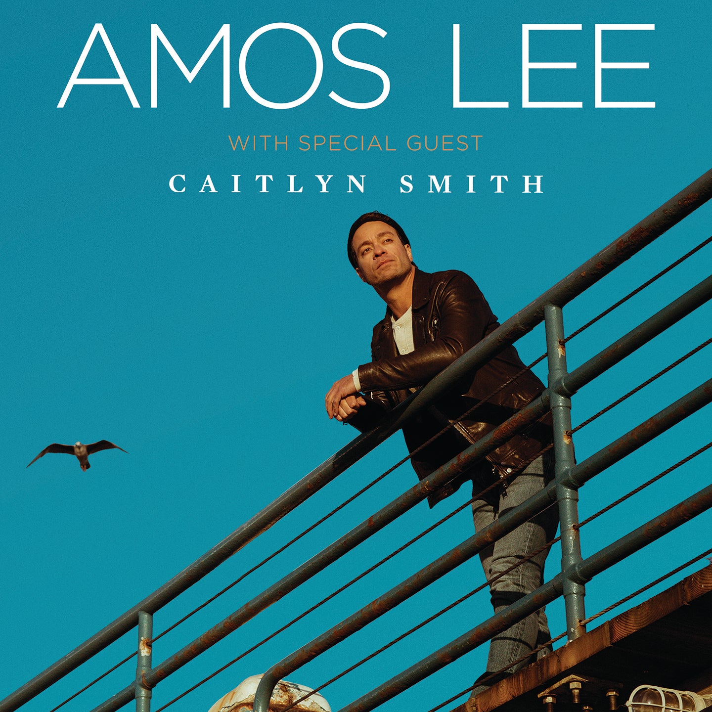 amos lee on tour