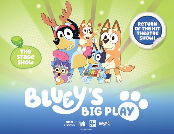 More Info for Bluey's Big Play