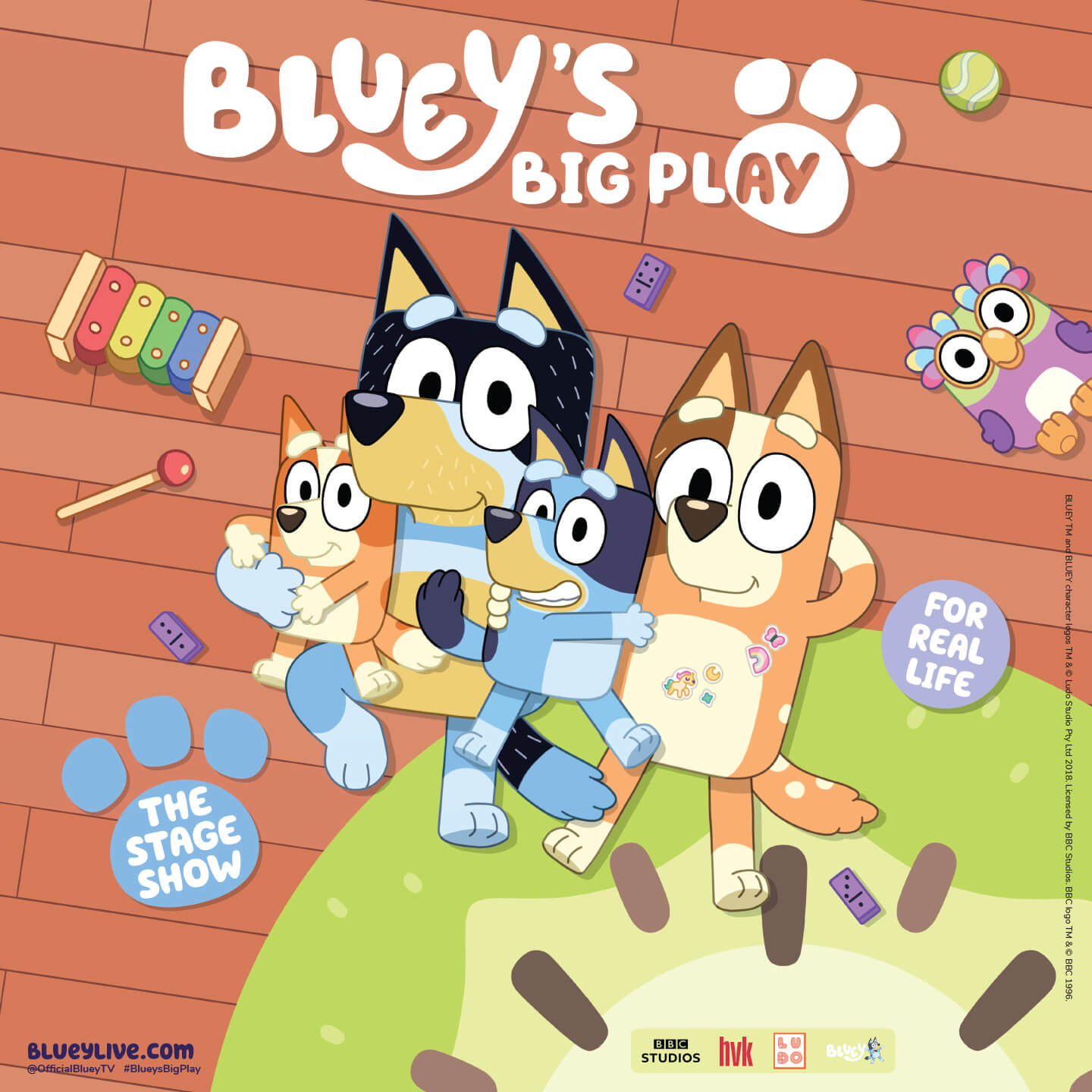 Bluey's Big Play