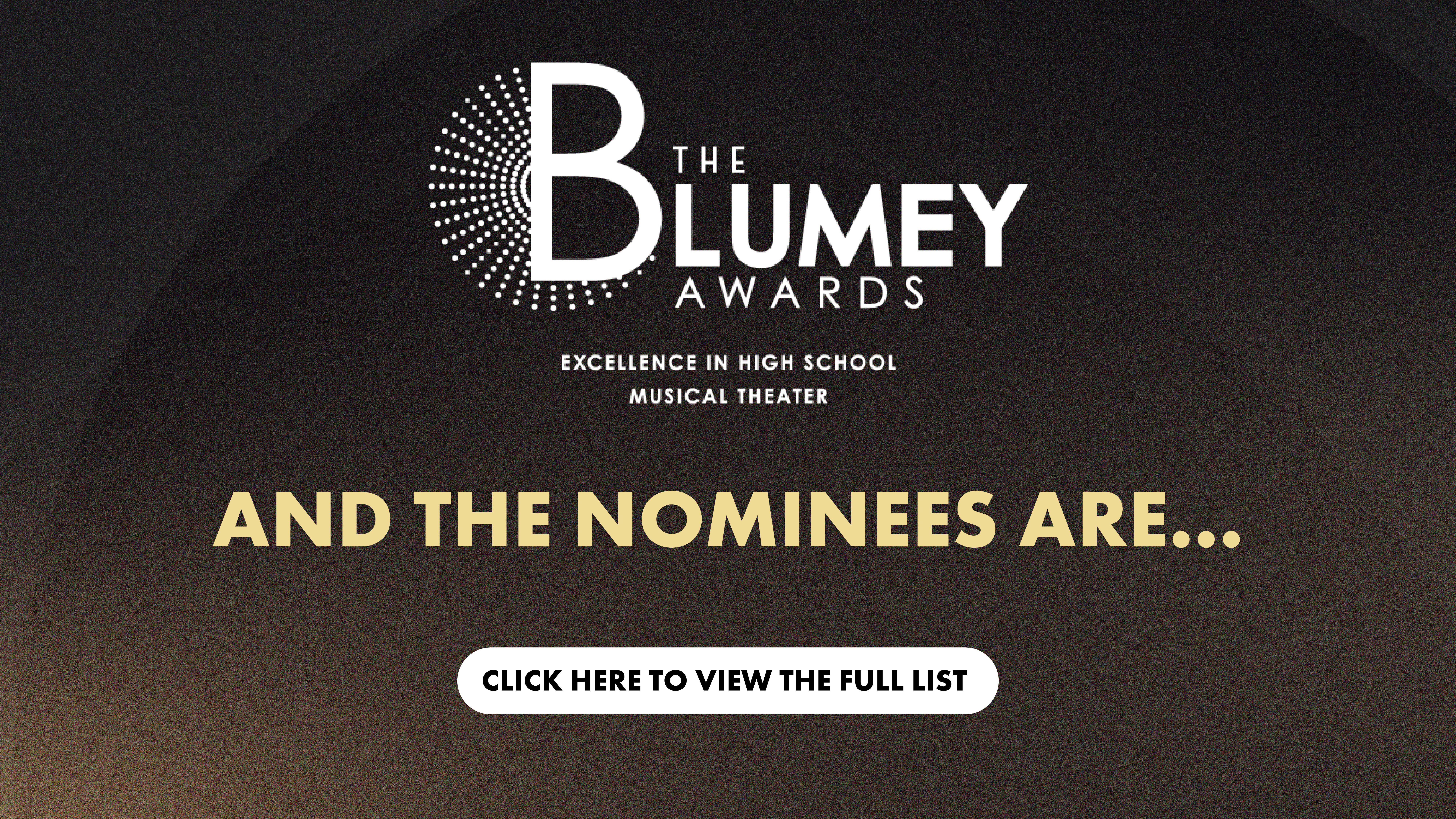 Blumey Awards Schools for Website 1920x1080 3-01.jpg