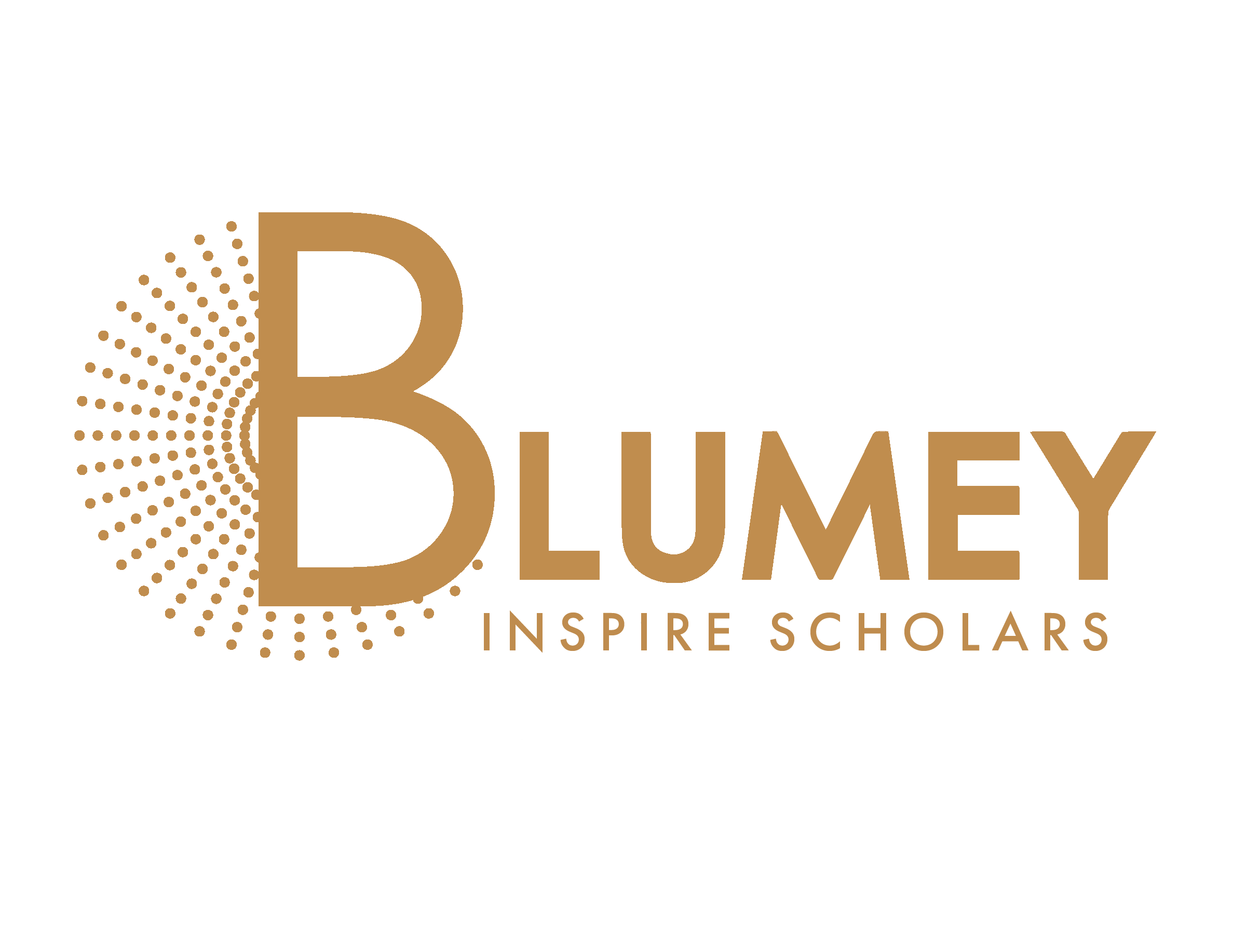 Blumey Inspire Logo.png