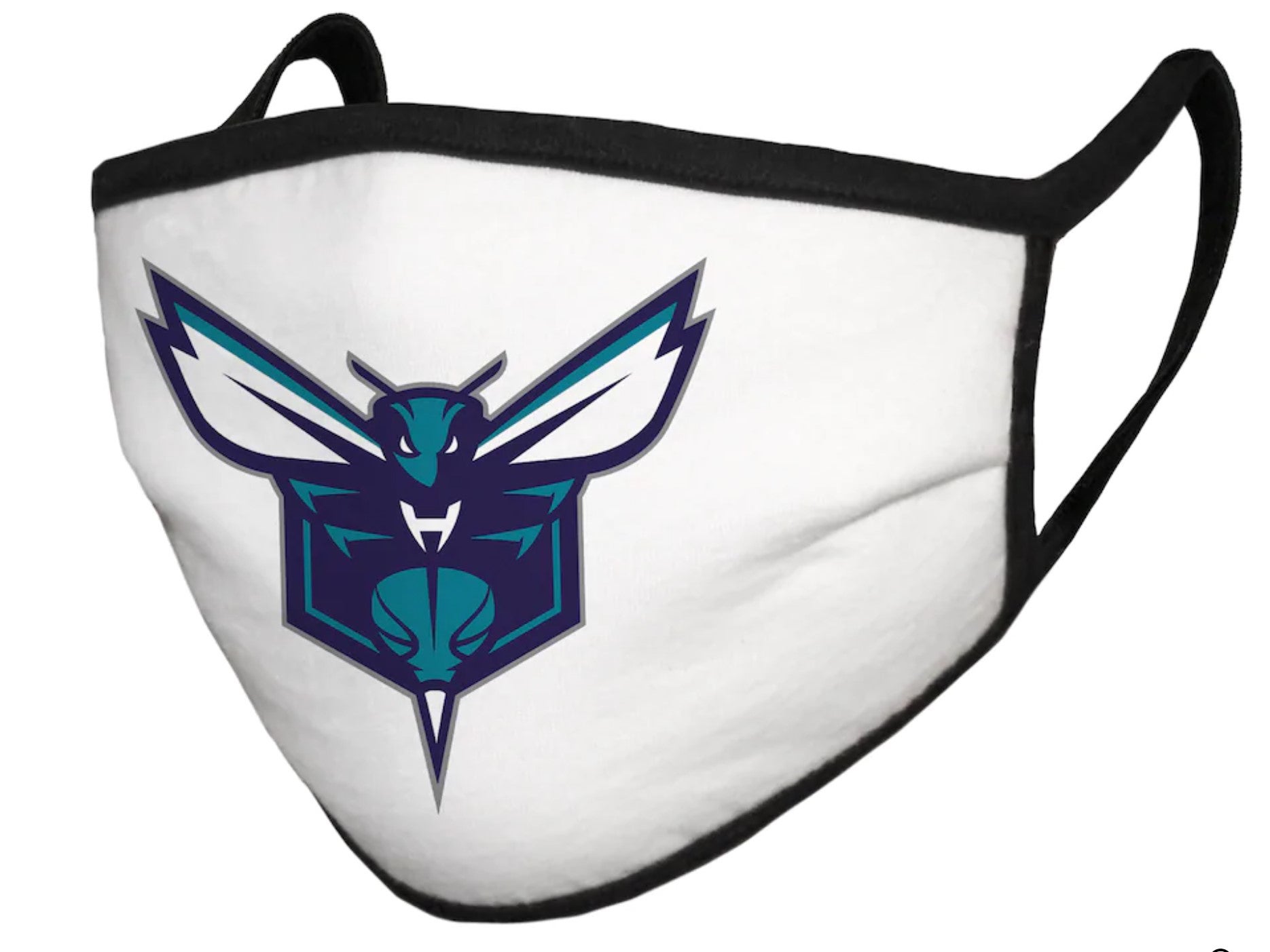 Charlotte Hornets mask[1].jpg