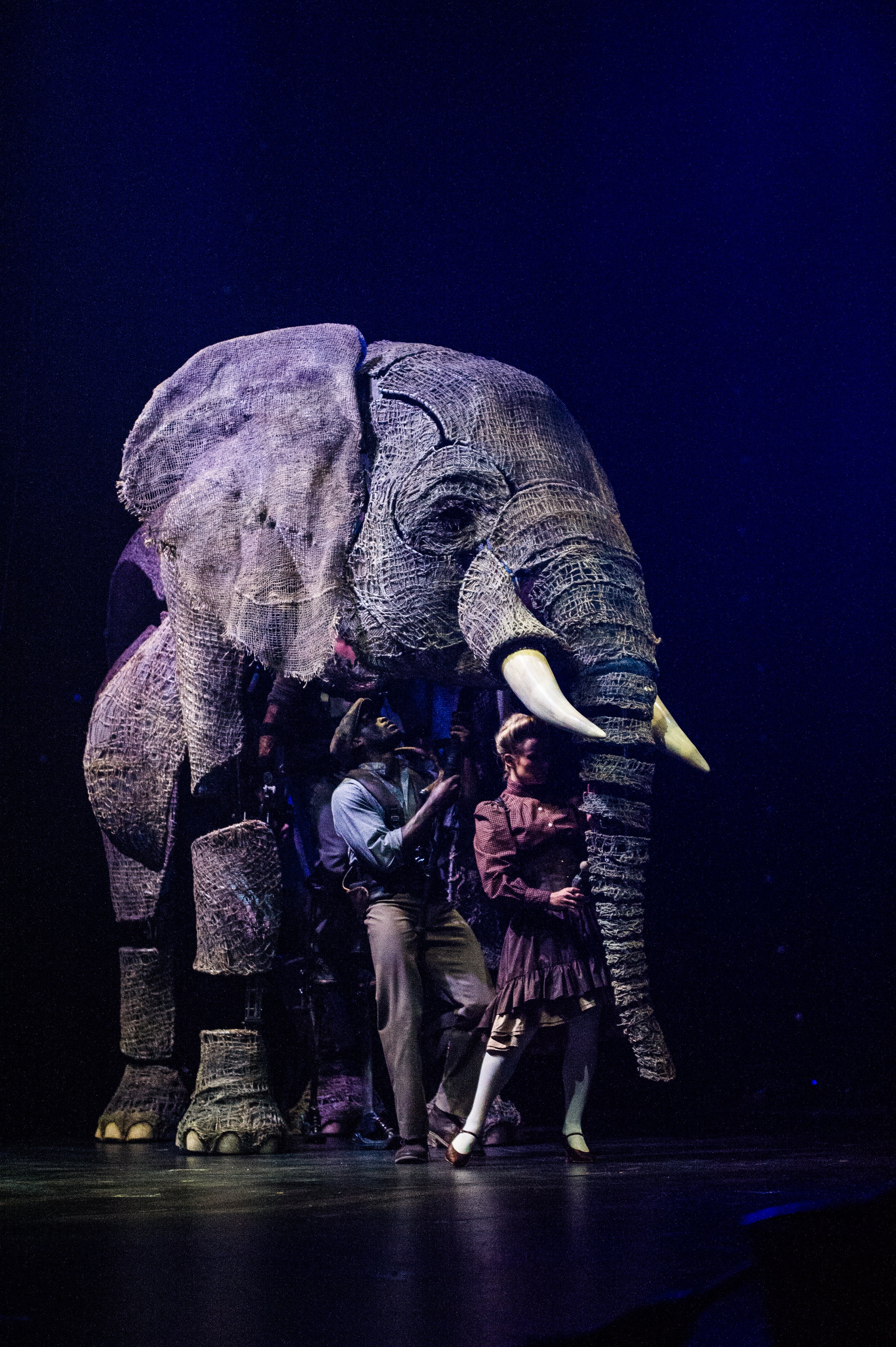 Circus 1903 Elephant.jpg