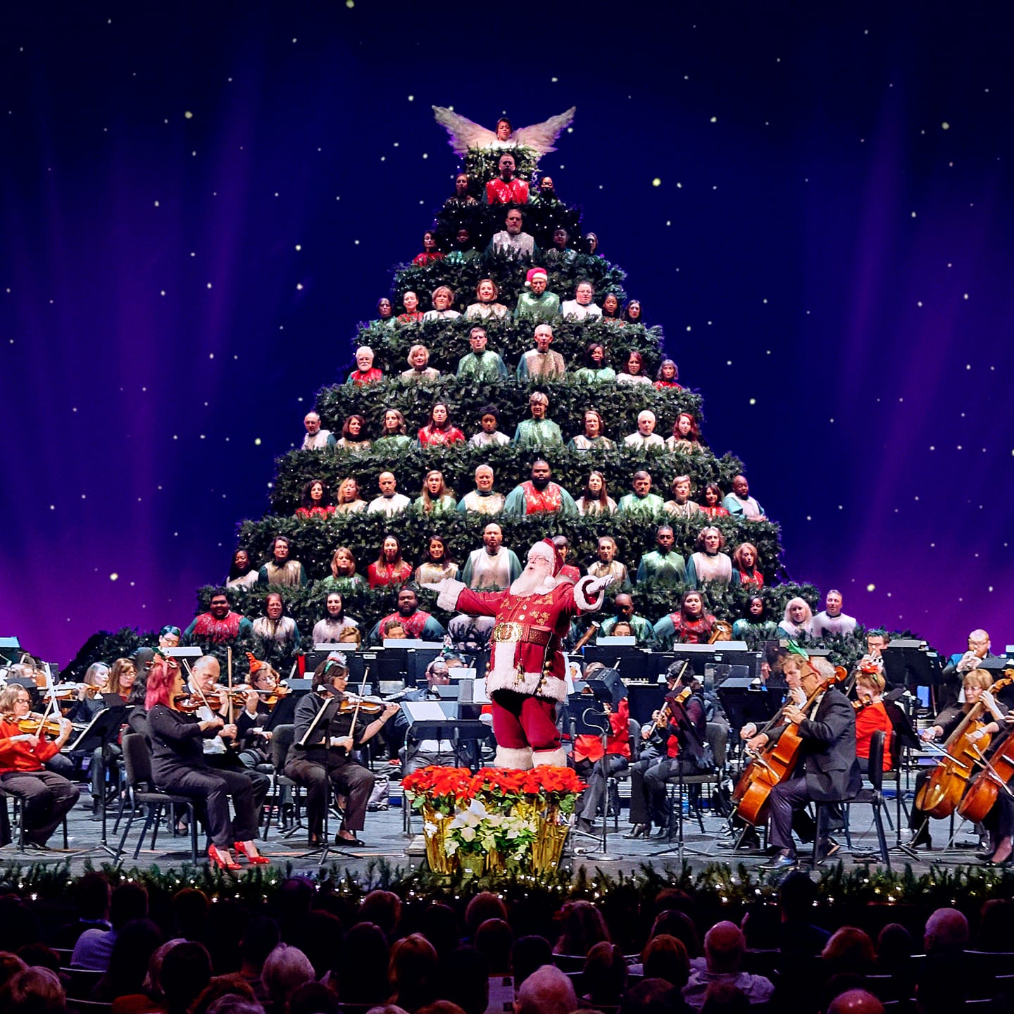 Charlotte Symphony & Carolina Voices Magic of Christmas and The