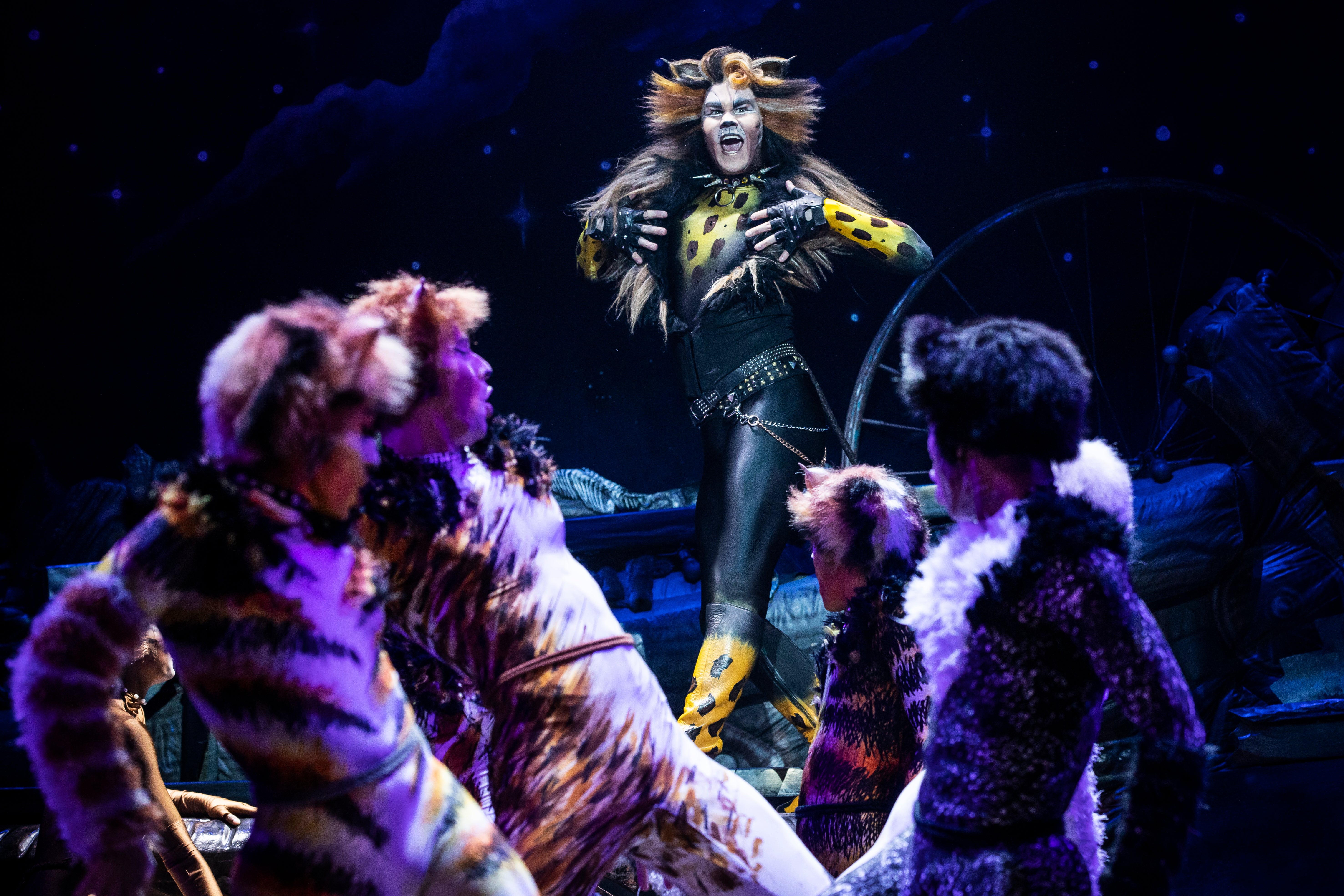 McGee Maddox as 'Rum Tug Tugger' and the North American Tour Company of CATS. Photo by Matthew Murphy. 2019.jpg