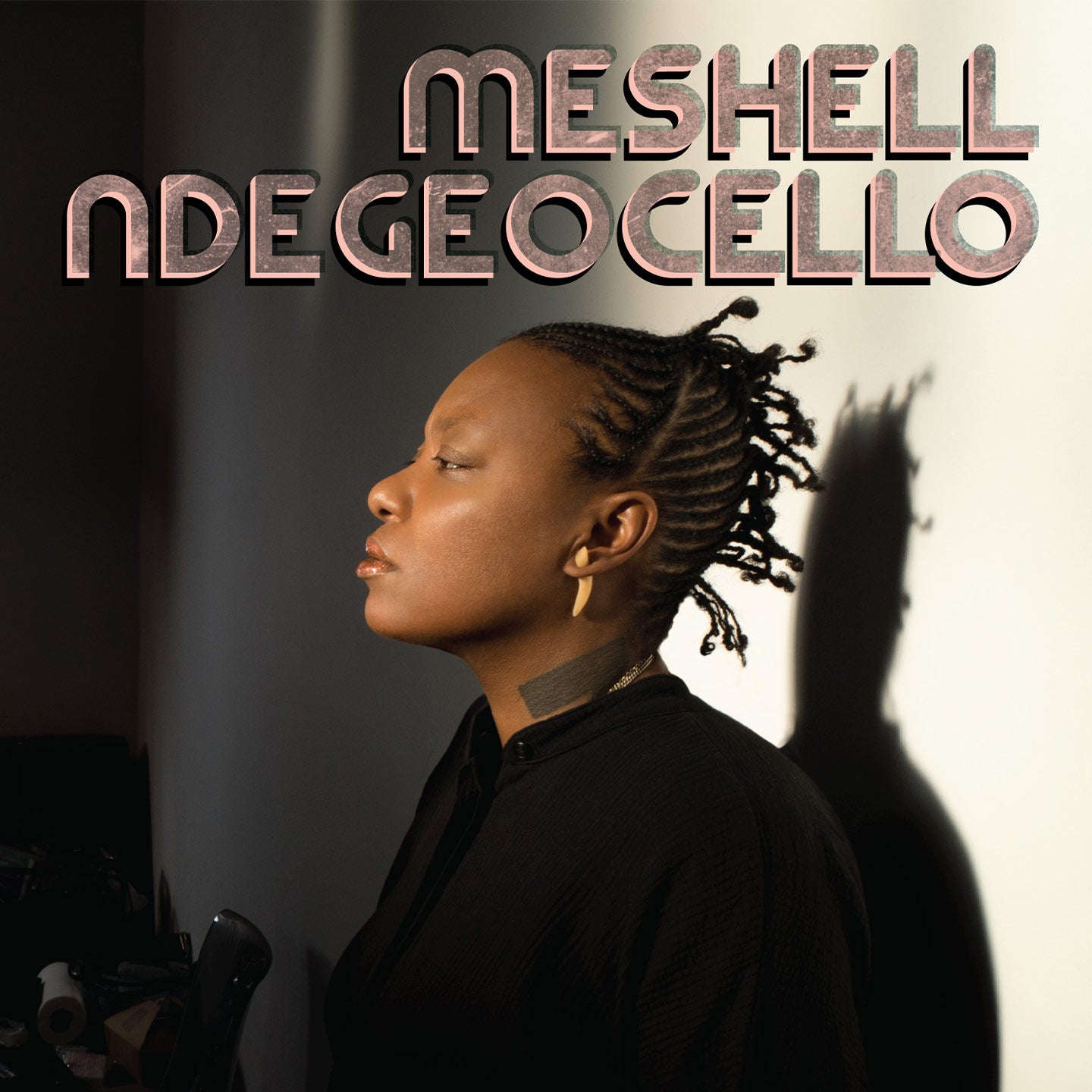 Meshell Ndegeocello