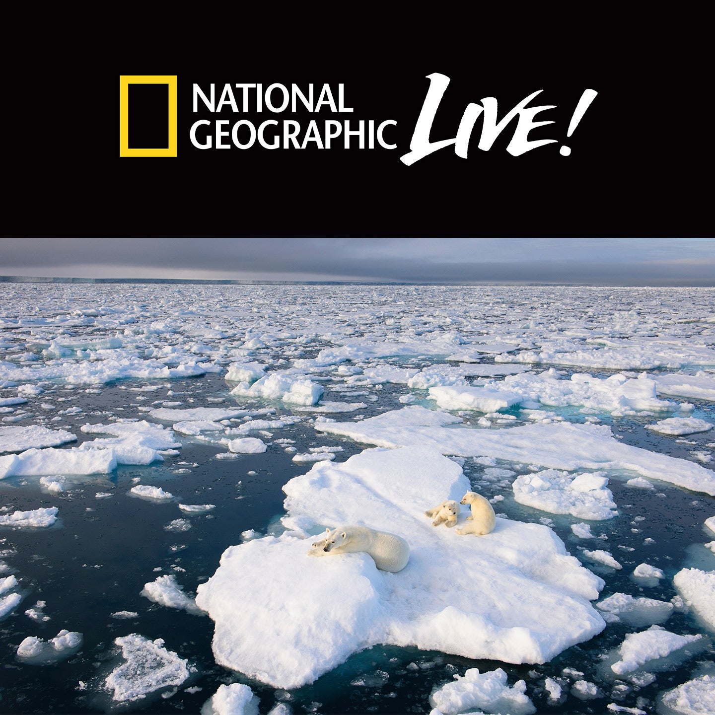 National Geographic Live: Into the Arctic Kingdom | CarolinaTix
