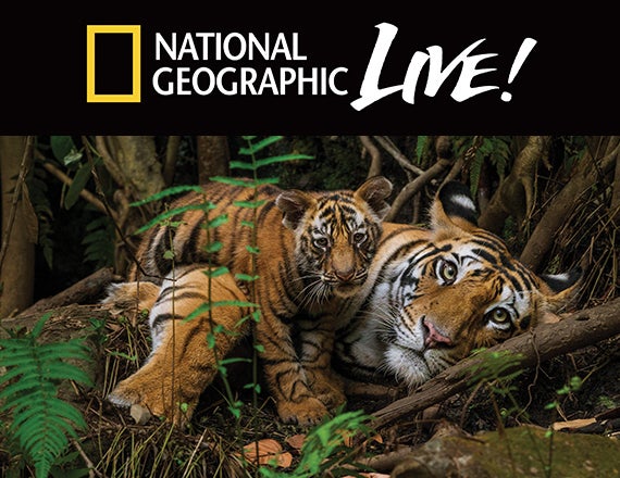 More Info for National Geographic Live! On the Trail of Big Cats