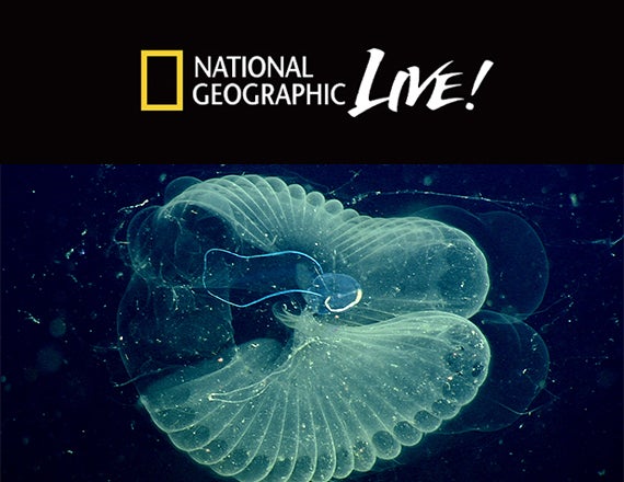 More Info for Blumenthal Performing Arts & Discovery Place Science Announce 2019/2020 National Geographic Live series - Sponsored By CompuCom 