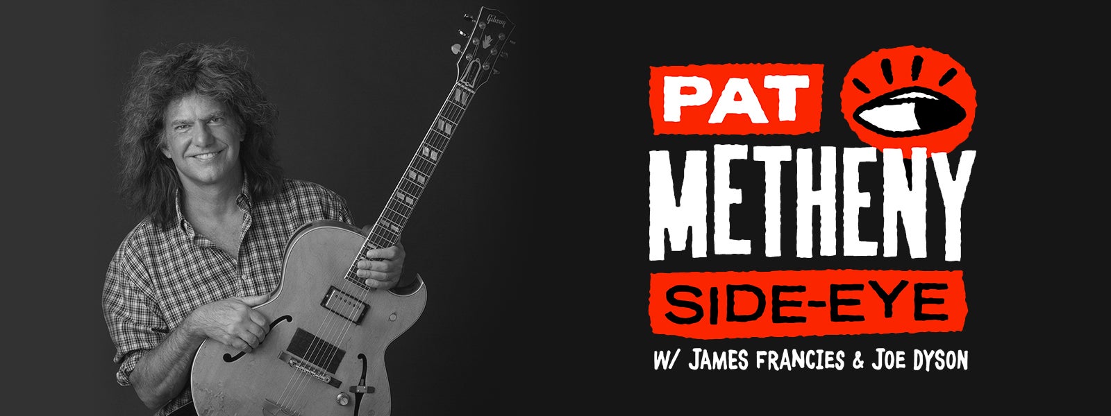 pat metheny side eye tour