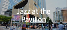 Pavilion_235.jpg