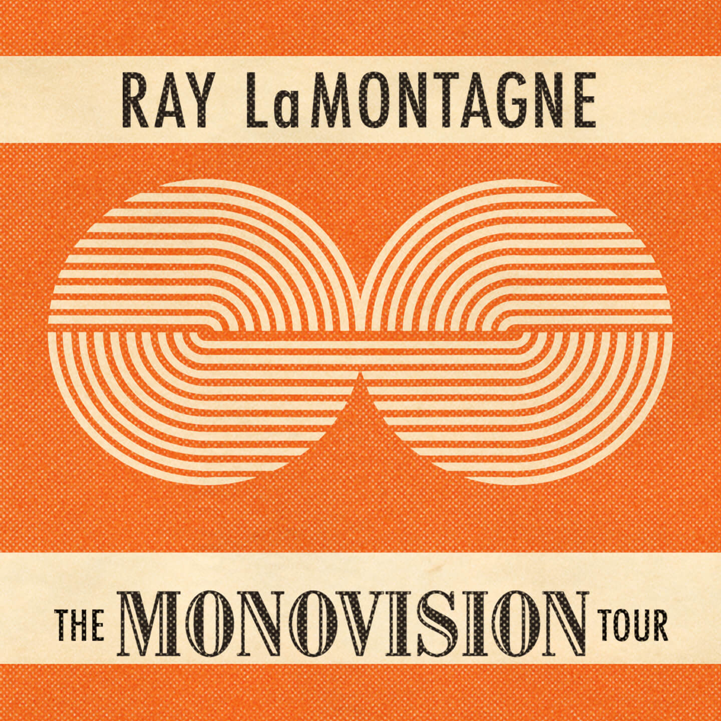Ray LaMontagne: The Monovision Tour