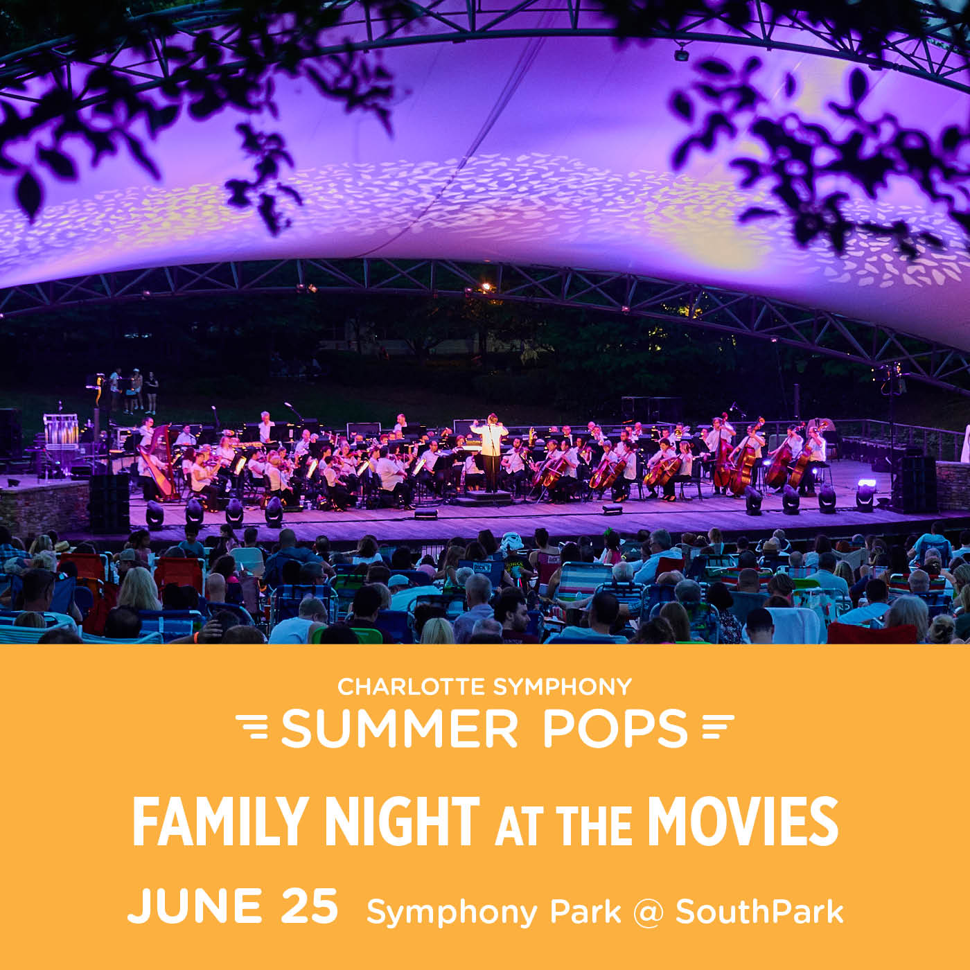 Charlotte Symphony: Family Night at the Movies