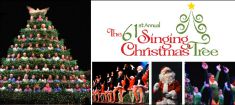 Singing Christmas Tree Dec 2015 235x105.jpg