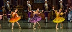 Sleeping Beauty 235.jpg