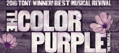 More Info for COMING HOME WITH THE COLOR PURPLE