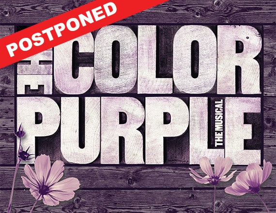 More Info for The Color Purple