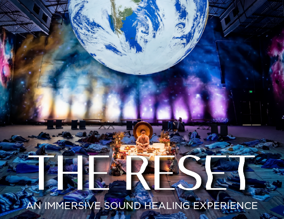 More Info for THE RESET with Davin Youngs