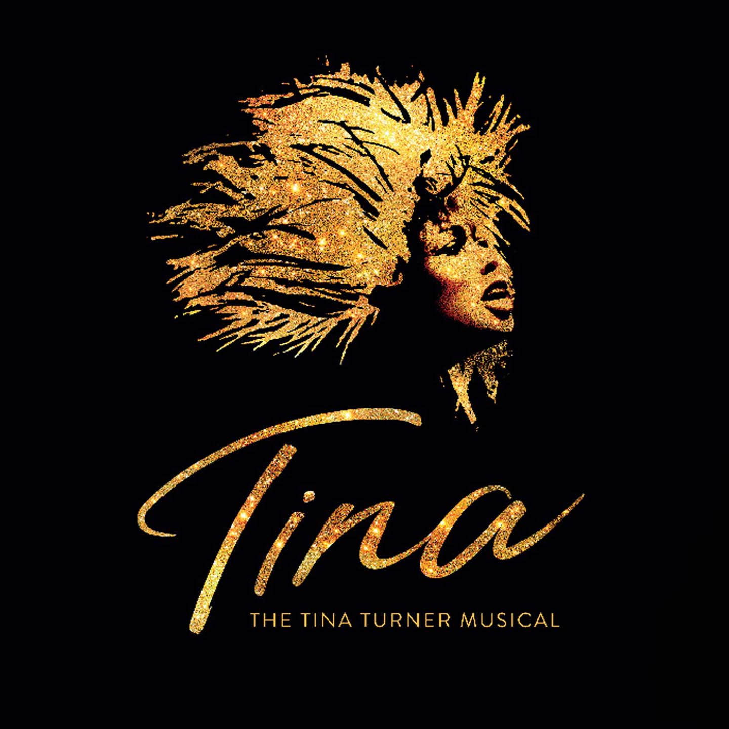 TINA - The Tina Turner Musical