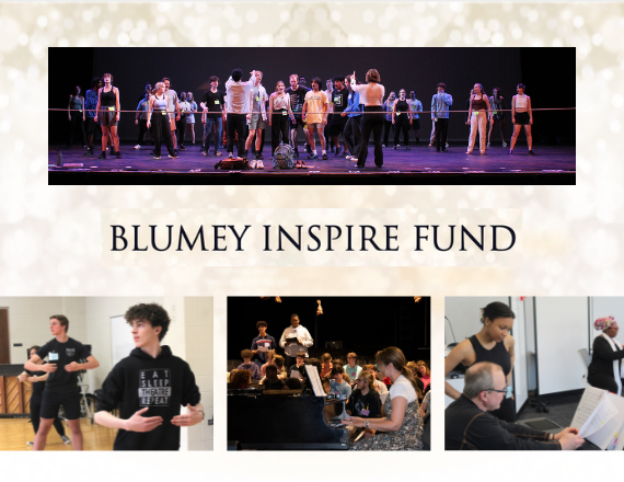 More Info for Celebrating 10 years of the Blumey Awards and Launching the New Blumey Inspire Fund