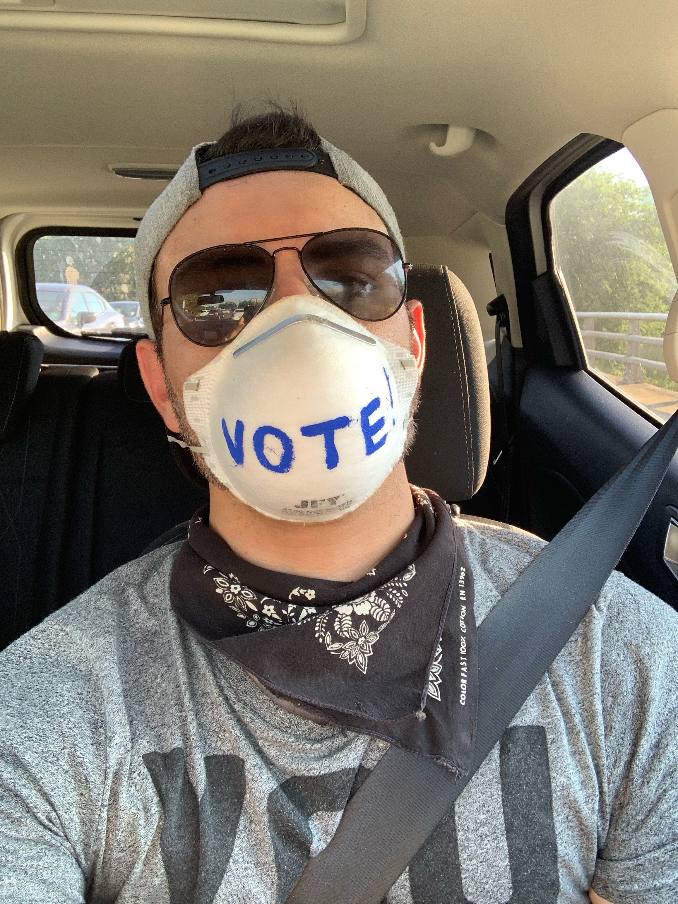 VoteMask.jpg