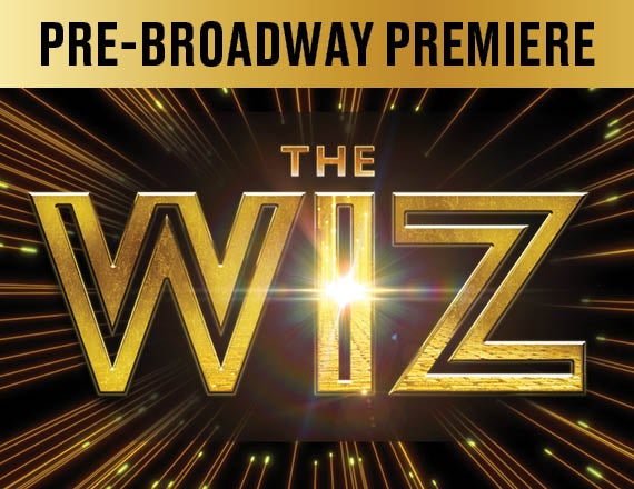 More Info for The Wiz