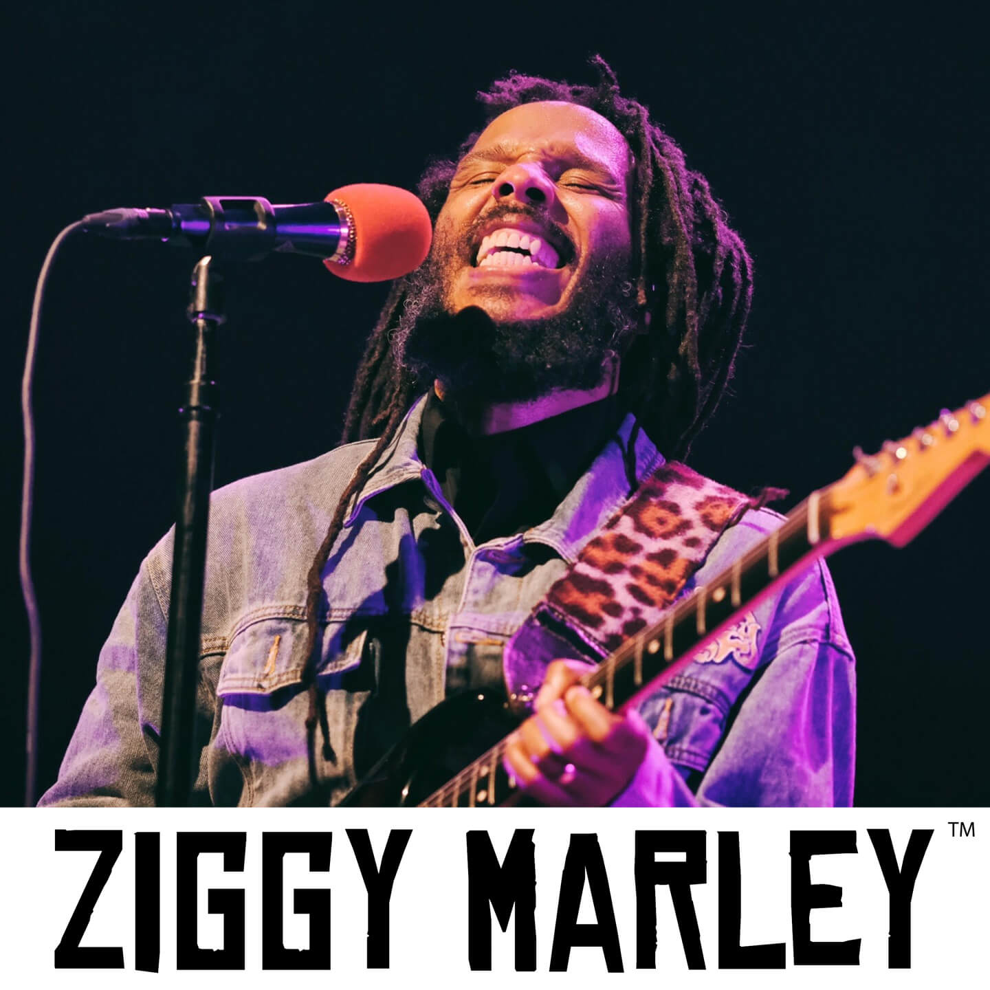 Ziggy Marley