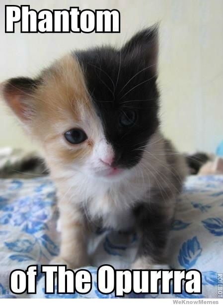 phantom-of-the-opurrra-cat.jpg
